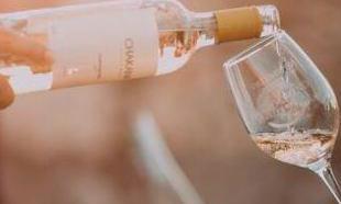 Vplyv terroir na chuť vína: Hlboké ponorenie